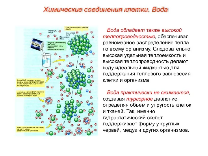 Вода обладает также высокой теплопроводностью, обеспечивая равномерное распределение тепла по всему