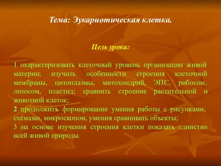 Тема: Эукариотическая клетка. Цель урока: 1 охарактеризовать клеточный уровень организации живой