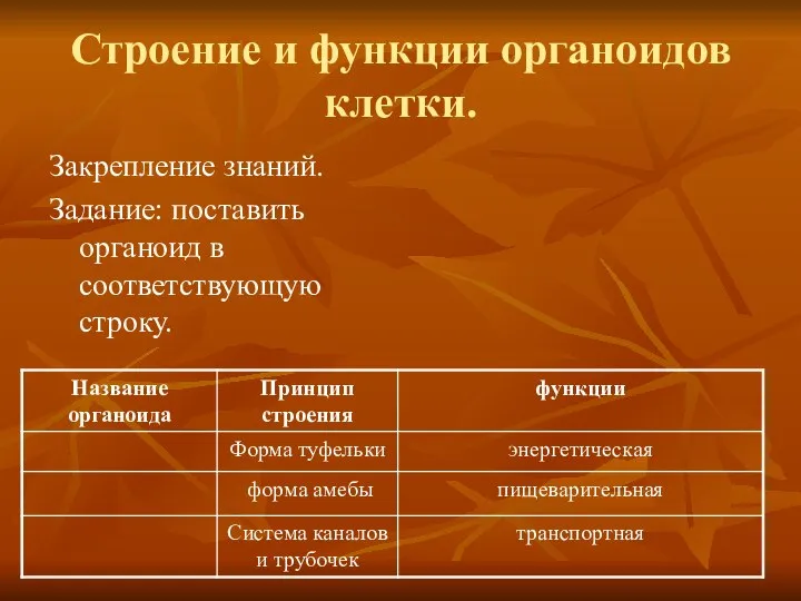 Строение и функции органоидов клетки. Закрепление знаний. Задание: поставить органоид в соответствующую строку.