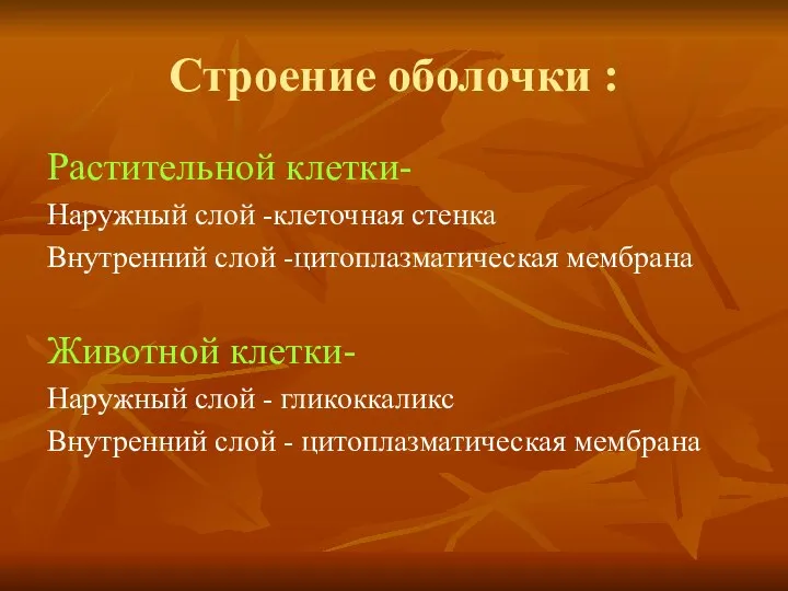 Строение оболочки : Растительной клетки- Наружный слой -клеточная стенка Внутренний слой