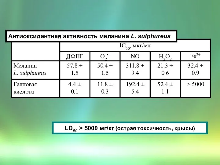 Антиоксидантная активность меланина L. sulphureus LD50 > 5000 мг/кг (острая токсичность, крысы)