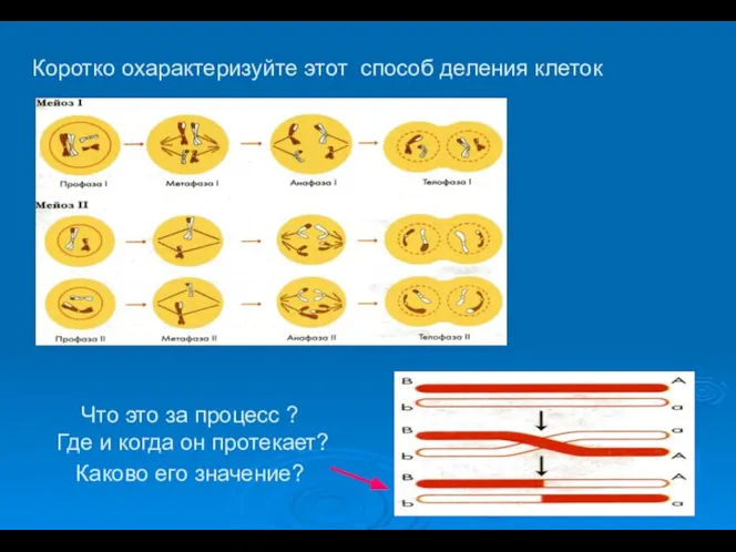 Что это за процесс ? Где и когда он протекает? Каково