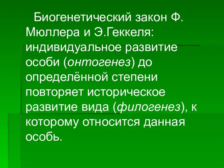 Биогенетический закон Ф.Мюллера и Э.Геккеля: индивидуальное развитие особи (онтогенез) до определённой