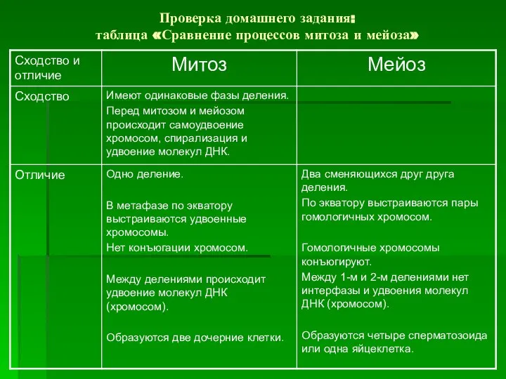 Проверка домашнего задания: таблица «Сравнение процессов митоза и мейоза»