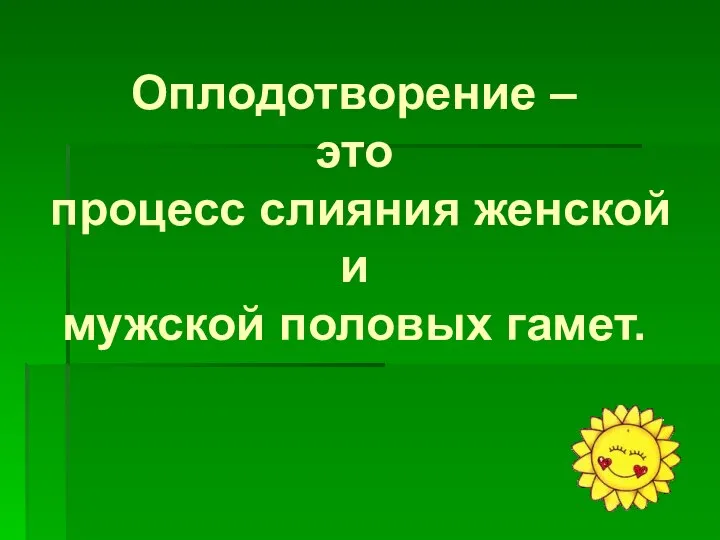 Оплодотворение – это процесс слияния женской и мужской половых гамет.