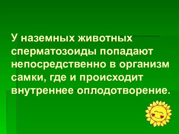 У наземных животных сперматозоиды попадают непосредственно в организм самки, где и происходит внутреннее оплодотворение.