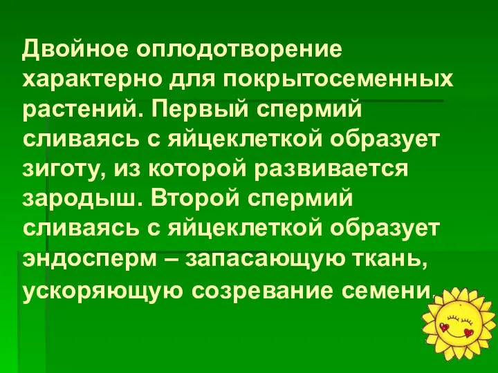 Двойное оплодотворение характерно для покрытосеменных растений. Первый спермий сливаясь с яйцеклеткой