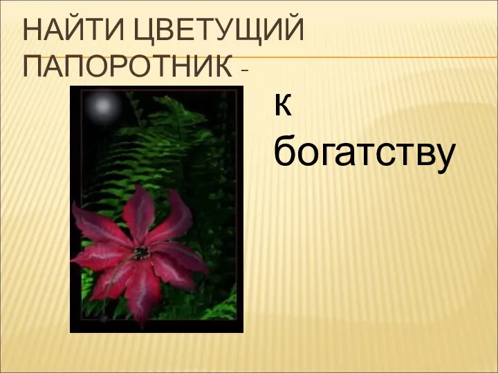 НАЙТИ ЦВЕТУЩИЙ ПАПОРОТНИК - к богатству