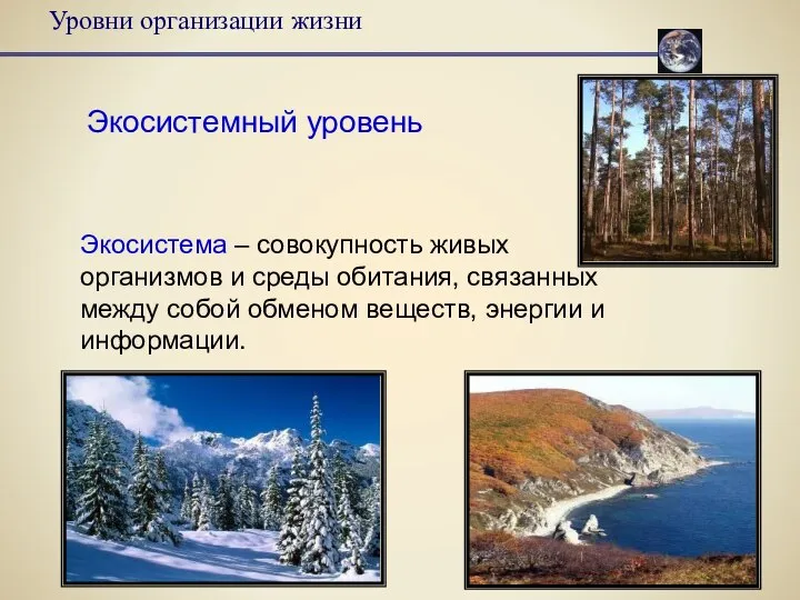 Уровни организации жизни Экосистемный уровень Экосистема – совокупность живых организмов и