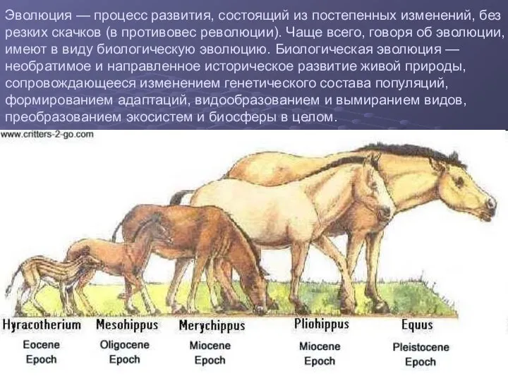 Эволюция — процесс развития, состоящий из постепенных изменений, без резких скачков