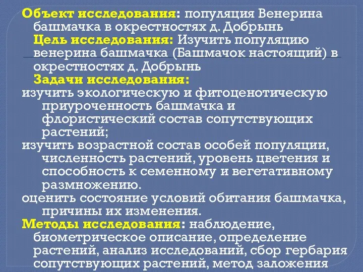 Объект исследования: популяция Венерина башмачка в окрестностях д. Добрынь Цель исследования: