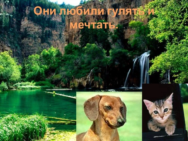 Они любили гулять и мечтать.