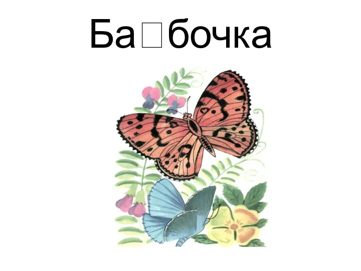 Бабочка