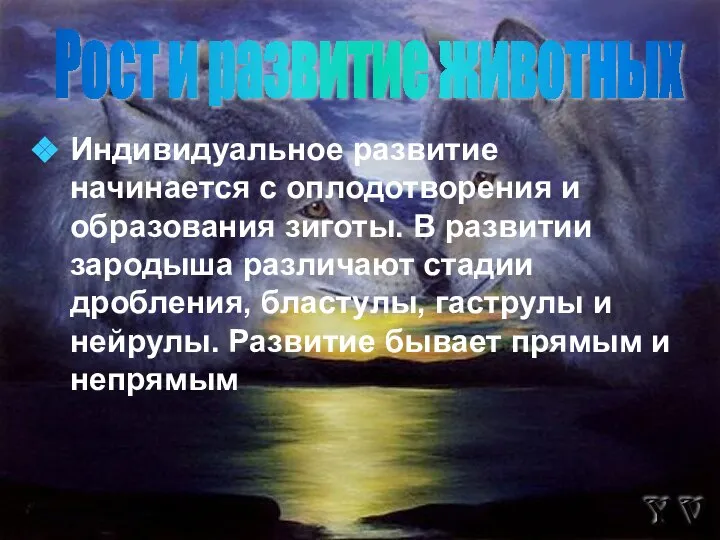 Индивидуальное развитие начинается с оплодотворения и образования зиготы. В развитии зародыша