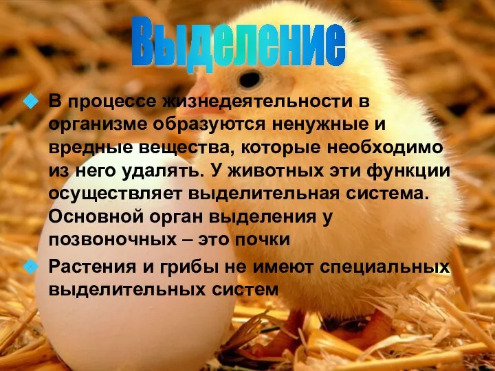 В процессе жизнедеятельности в организме образуются ненужные и вредные вещества, которые