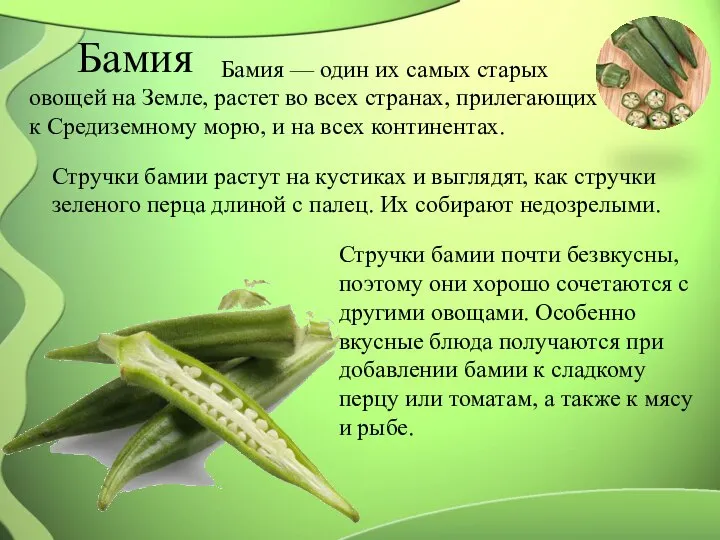 Бамия Бамия — один их самых старых овощей на Земле, растет