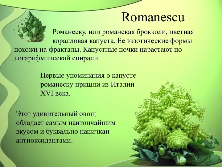 Romanescu Романеску, или романская брокколи, цветная коралловая капуста. Ее экзотические формы