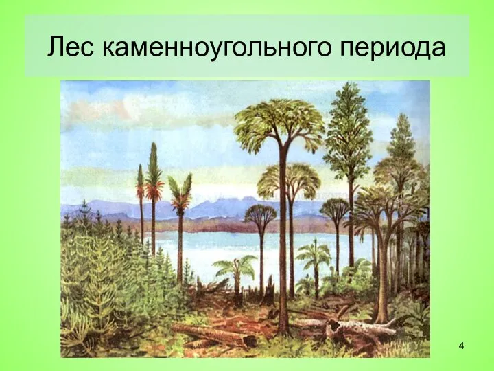 Лес каменноугольного периода