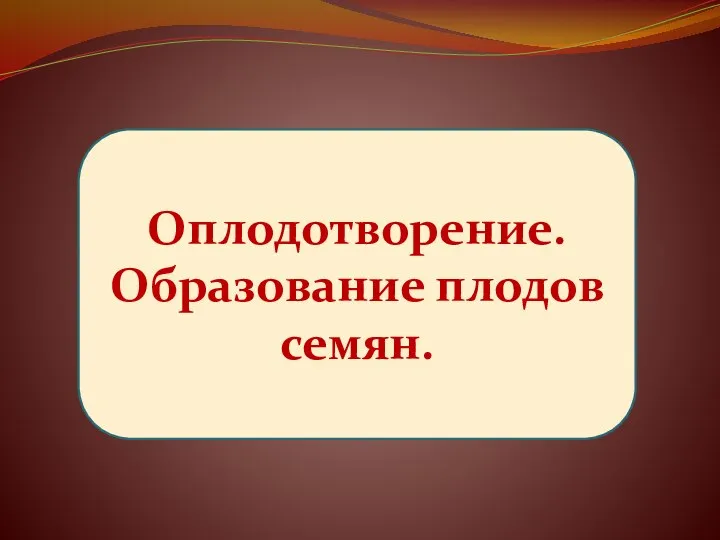 Оплодотворение. Образование плодов семян.