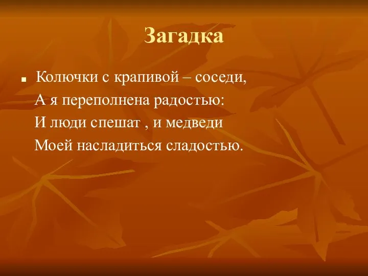 Загадка Колючки с крапивой – соседи, А я переполнена радостью: И