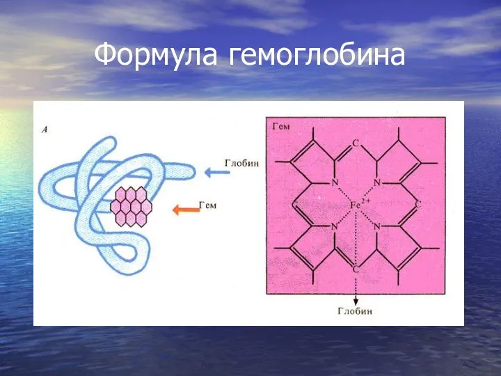 Формула гемоглобина