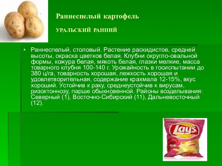 Раннеспелый картофель УРАЛЬСКИЙ РАННИЙ Раннеспелый, столовый. Растение раскидистое, средней высоты, окраска