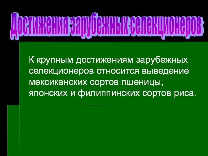 К крупным достижениям зарубежных селекционеров относится выведение мексиканских сортов пшеницы, японских