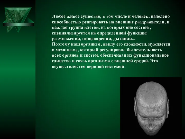 Любое живое существо, в том числе и человек, наделено способностью реагировать