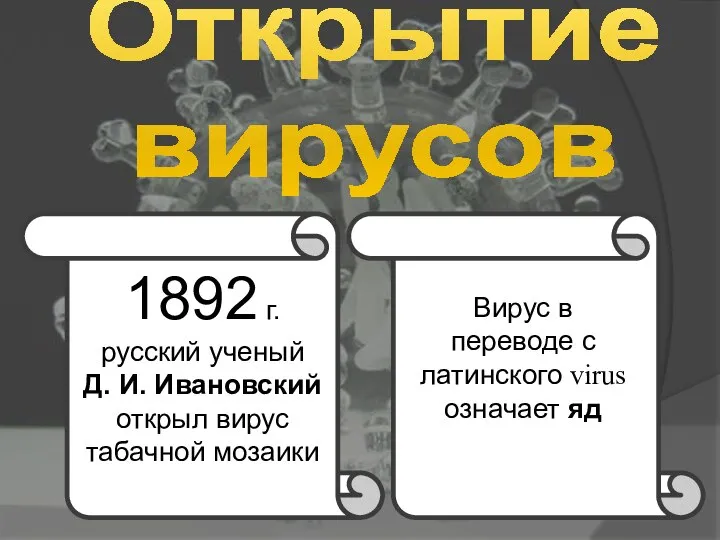 Открытие вирусов 1892 г. русский ученый Д. И. Ивановский открыл вирус