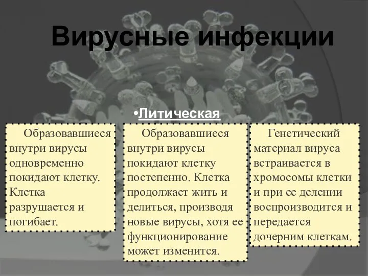 Вирусные инфекции Образовавшиеся внутри вирусы одновременно покидают клетку. Клетка разрушается и