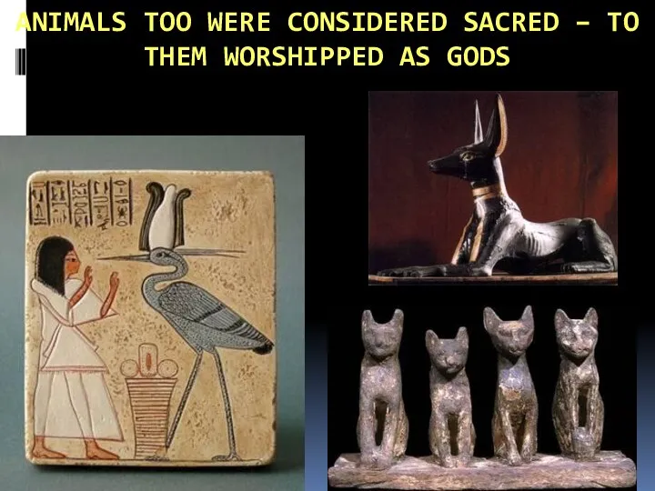 ANIMALS TOO WERE CONSIDERED SACRED – TO THEM WORSHIPPED AS GODS