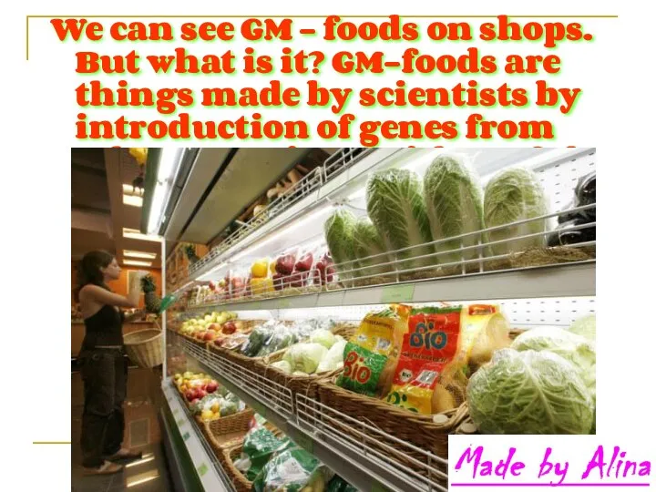 We can see GM – foods on shops. But what is