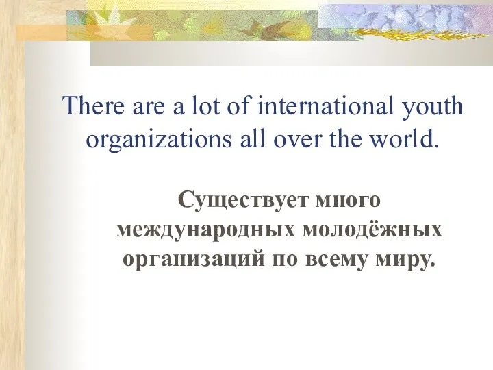 There are a lot of international youth organizations all over the