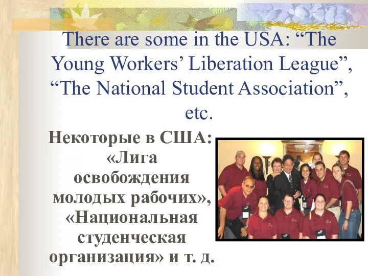 There are some in the USA: “The Young Workers’ Liberation League”,