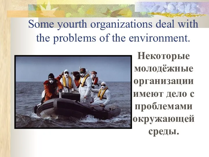 Some yourth organizations deal with the problems of the environment. Некоторые
