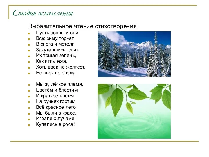 Стадия осмысления. Выразительное чтение стихотворения. Пусть сосны и ели Всю зиму