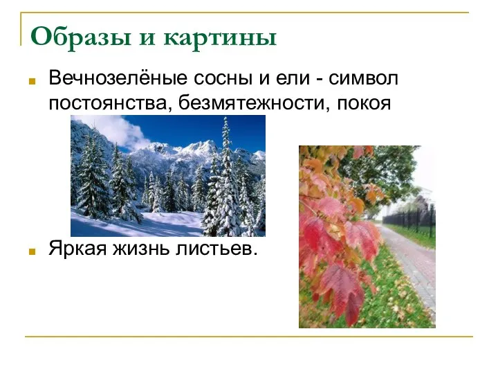 Образы и картины Вечнозелёные сосны и ели - символ постоянства, безмятежности, покоя Яркая жизнь листьев.