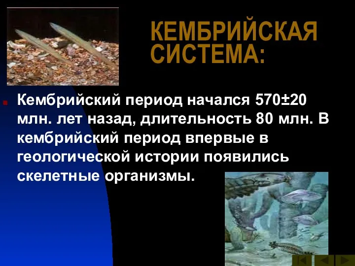 КЕМБРИЙСКАЯ СИСТЕМА: Кембрийский период начался 570±20 млн. лет назад, длительность 80