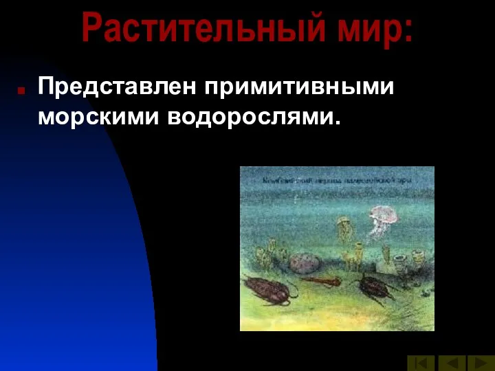 Растительный мир: Представлен примитивными морскими водорослями.