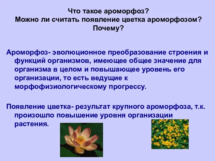 Что такое ароморфоз? Можно ли считать появление цветка ароморфозом? Почему? Ароморфоз-