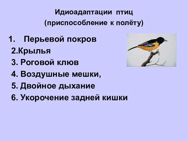Идиоадаптации птиц (приспособление к полёту) Перьевой покров 2.Крылья 3. Роговой клюв