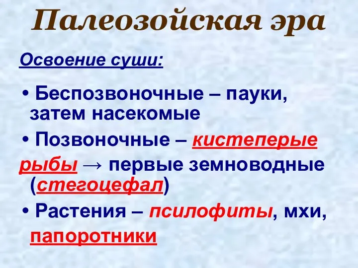 Палеозойская эра Освоение суши: Беспозвоночные – пауки, затем насекомые Позвоночные –