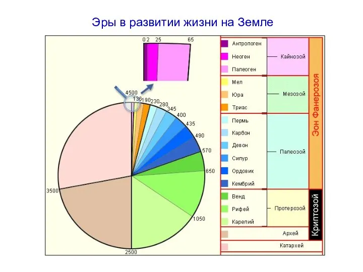 Эры в развитии жизни на Земле