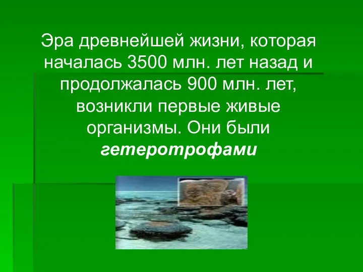 Эра древнейшей жизни, которая началась 3500 млн. лет назад и продолжалась