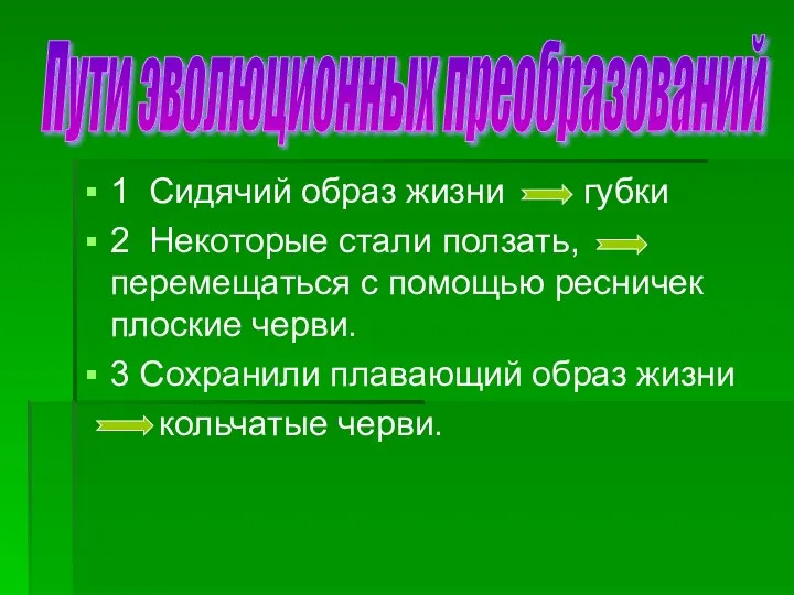 1 Сидячий образ жизни губки 2 Некоторые стали ползать, перемещаться с