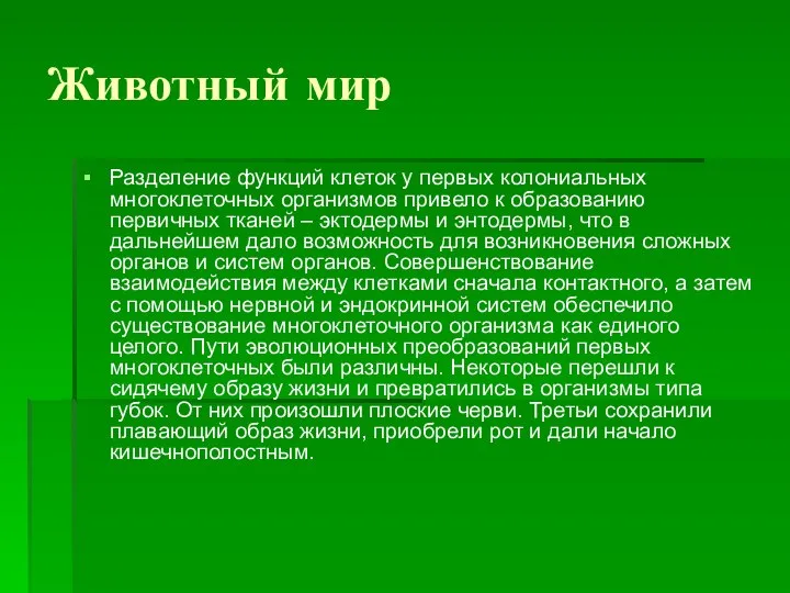 Животный мир Разделение функций клеток у первых колониальных многоклеточных организмов привело