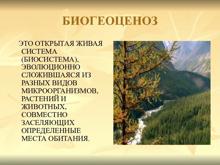 БИОГЕОЦЕНОЗ ЭТО ОТКРЫТАЯ ЖИВАЯ СИСТЕМА (БИОСИСТЕМА), ЭВОЛЮЦИОННО СЛОЖИВШАЯСЯ ИЗ РАЗНЫХ ВИДОВ