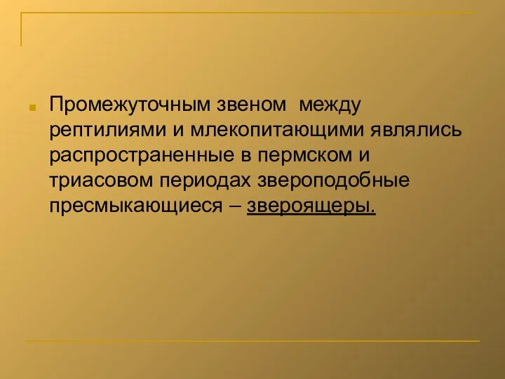 Промежуточным звеном между рептилиями и млекопитающими являлись распространенные в пермском и