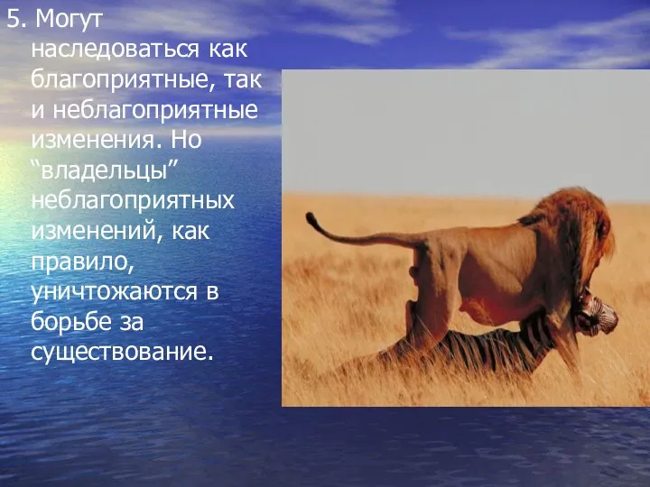 5. Могут наследоваться как благоприятные, так и неблагоприятные изменения. Но “владельцы”