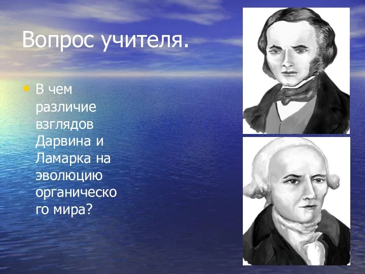 Вопрос учителя. В чем различие взглядов Дарвина и Ламарка на эволюцию органического мира?